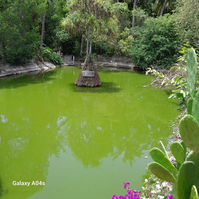 ที่ดิน กาญจนบุรี อำเภอเมือง ขายพร้อมกิจกการรีสอร์จ 7