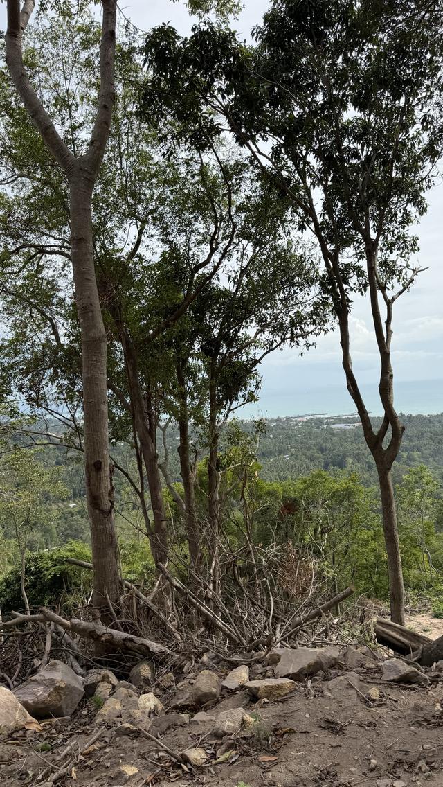 Prime Sunset & Sea View Land for Sale in Koh Samui – A Rare Investment Opportunity! 19