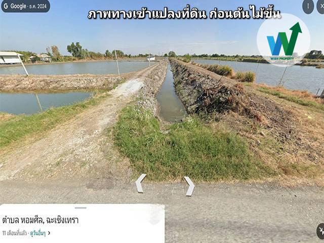 ขายที่ดินในบางปะกง ฉะเชิงเทรา ต.หอมศิล ขนาดพื้นที่ 1 ไร่ 3 งาน 65.8 ตารางวา 7