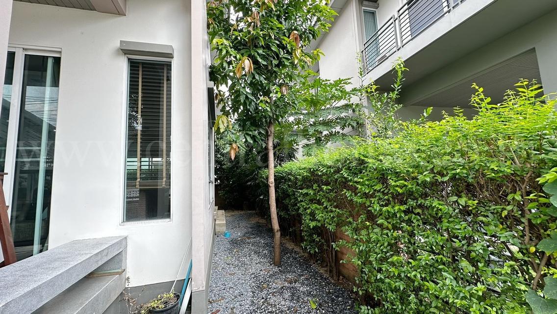 บ้านเดี่ยว ฮาบิเทีย บอนด์ ราชพฤกษ์ เฟอร์ครบ ถนนเมน 4