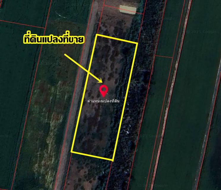 ขายที่ดินเปล่า ซอยผดุงพันธ์21 หนองจอก กรุงเทพมหานคร 5