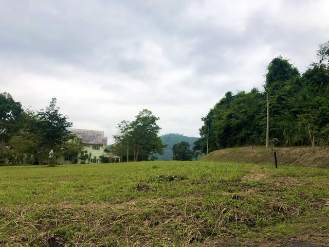 ขายที่ดิน 470 ตรว. แปลงมุม ในสนามกอล์ฟเซอร์เจมส์คันทรีคลับ Forest Hill มวกเหล็ก สระบุรี 5