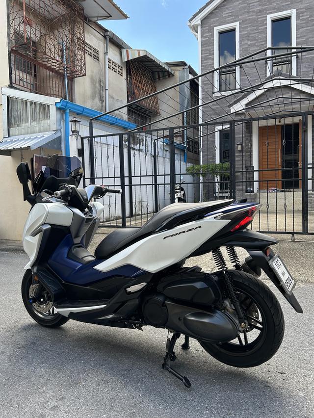 forza300 ปี 2018