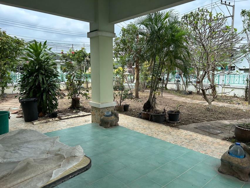 บ้านเดี่ยวหมู่บ้านชาลิตา 2 บางละมุง ชลบุรี เนือ้ที่ 142 ตรว. 5