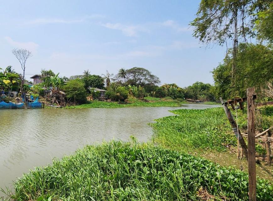 ขายที่ดินคลองนครเนื่องเขต 45 ไร่ ติดคลองติดถนนคอนกรีต ใกล้ตลาดปองพล-5กม. อ.เมืองฉะเชิงเทรา 1