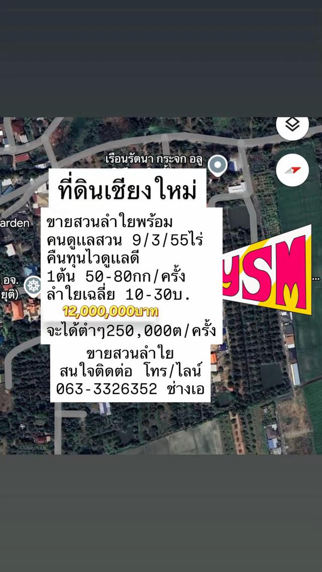 ที่ดิน สารภี  เชียงใหม่ 1