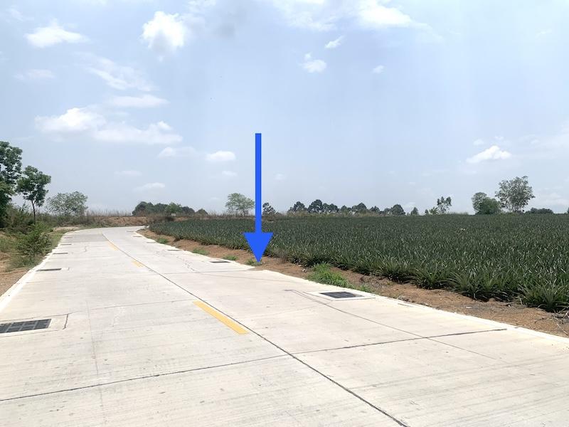ขายที่ดินศรีราชาพื้นที่สีม่วงลาย เนื้อที่ 48-2-31ไร่ ตรงข้ามนิคมอุตสาหกรรมโรจนะ ชลบุรี2 ที่ดินเหมาะพัฒนาอุตสาหกรรม ที่ตั้งตำบลเขาคันทรง อำเภอศรีราชา 3