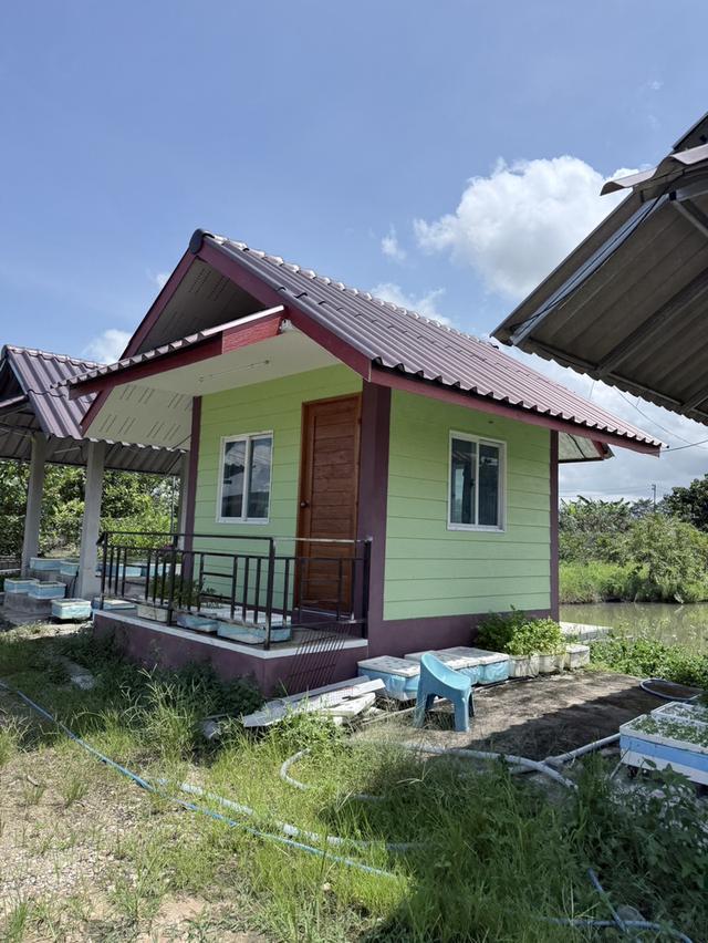 ที่ดินพร้อมสิ่งปลูกสร้าง 11