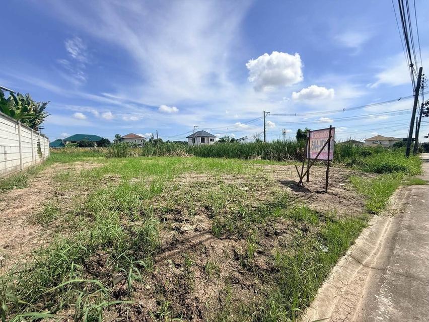 ขายด่วนที่ดินสายสอง 90 ตรว ติดถนนคอนกรีต ถมแล้ว พุทธมณฑลสาย 2 ซอย 21 เขตตลิ่งชัน กทม. 3
