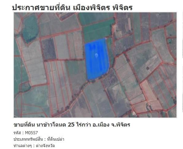 ขายที่ดิน 25 ไร่ ต.เมืองเก่า จ.พิจิตร 8