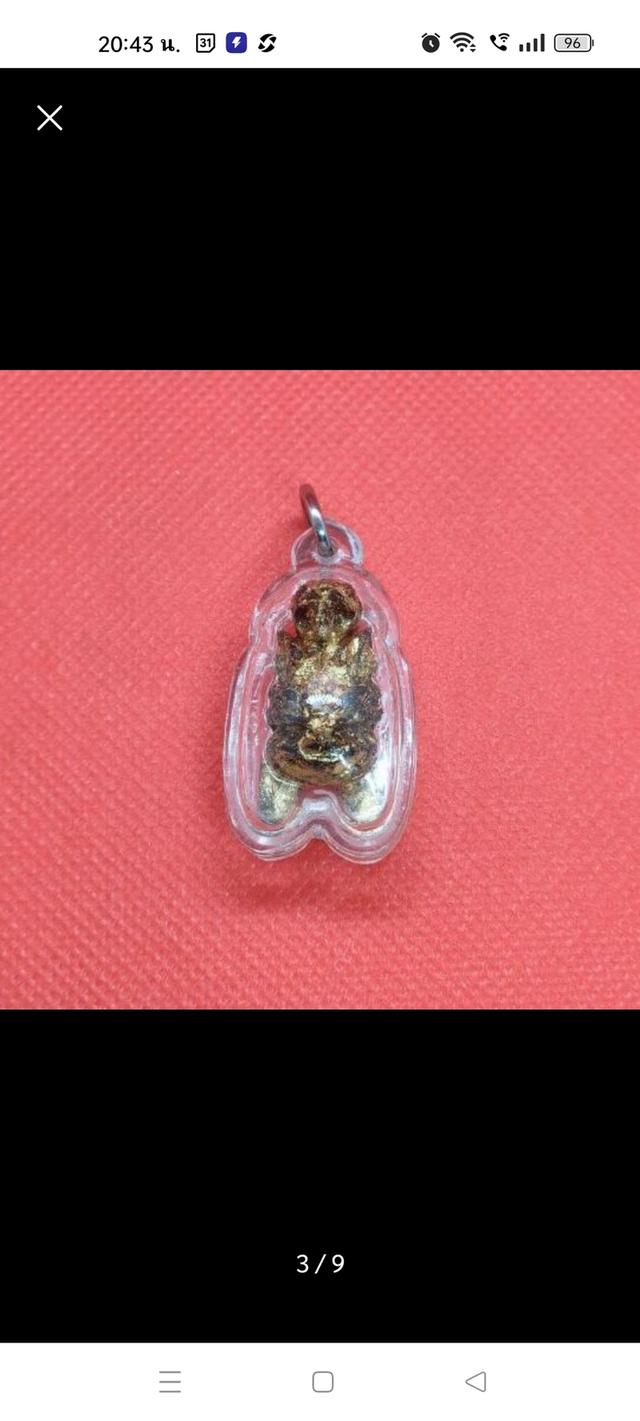 แมลงภู่คำไม้ดุมล้อเกวียน จากประเทศพม่า รูปที่ 3