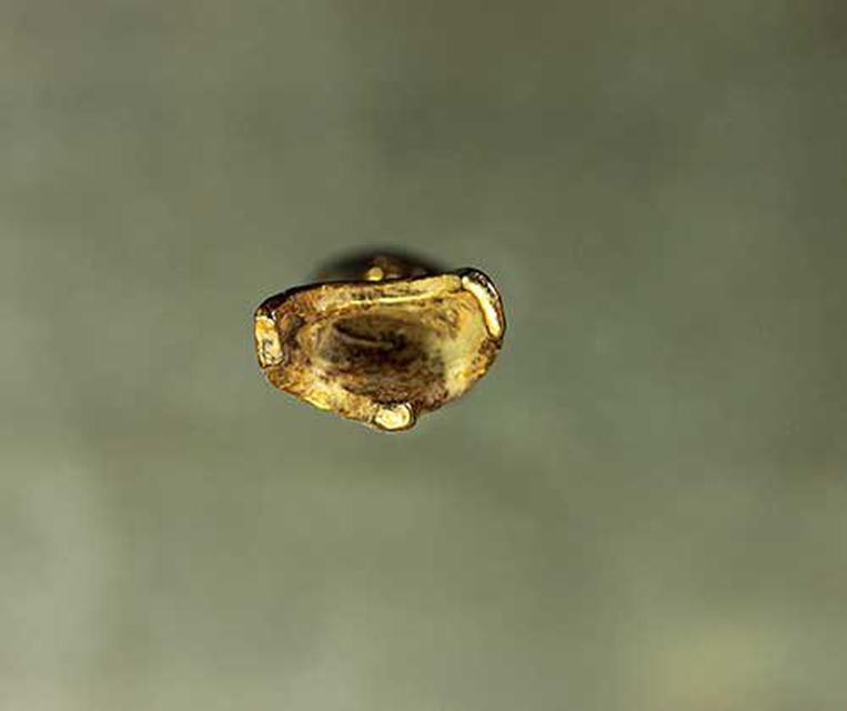 รูป พระเชียงรุ้ง เนื้อเปียกทองเก่า ขนาดกว้าง1.5สูง3.4 เซ็นต์ ค่ะ j370 3