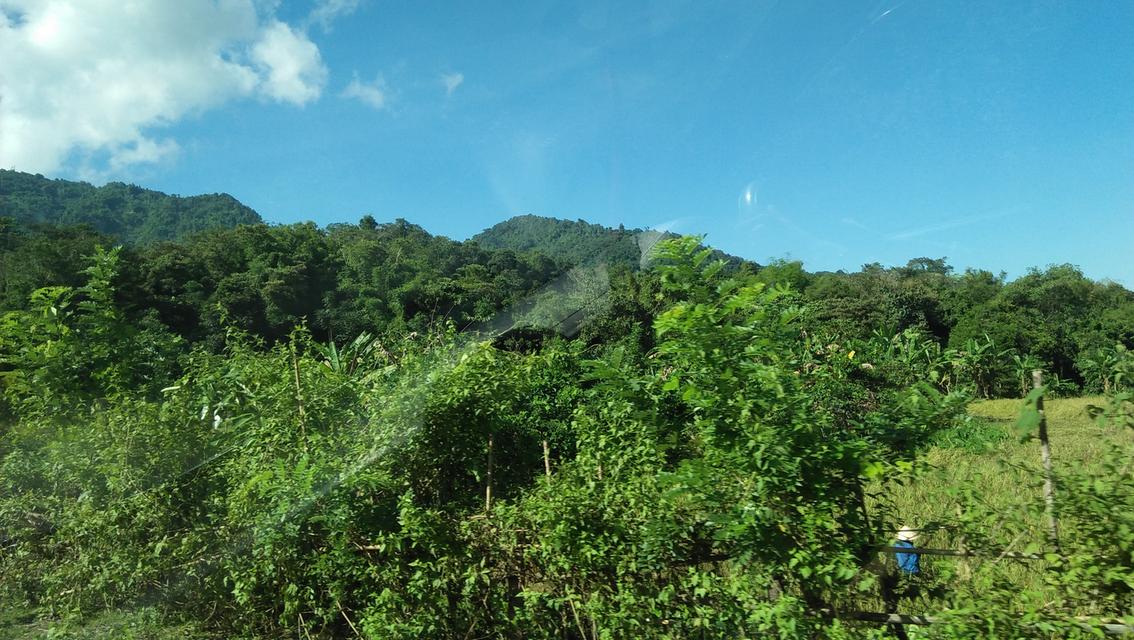 Sale Farm land and smaller guest house ขายสวนและกิจการ วิวภูเขา เพชรบูรณ์ 1