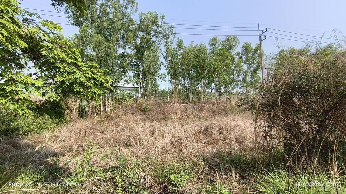 pcr2612 ขายที่ดินเป็นโฉนดครุฑแดง ไร่ละ 140,000บาท อ.พาน-เชียงราย 4