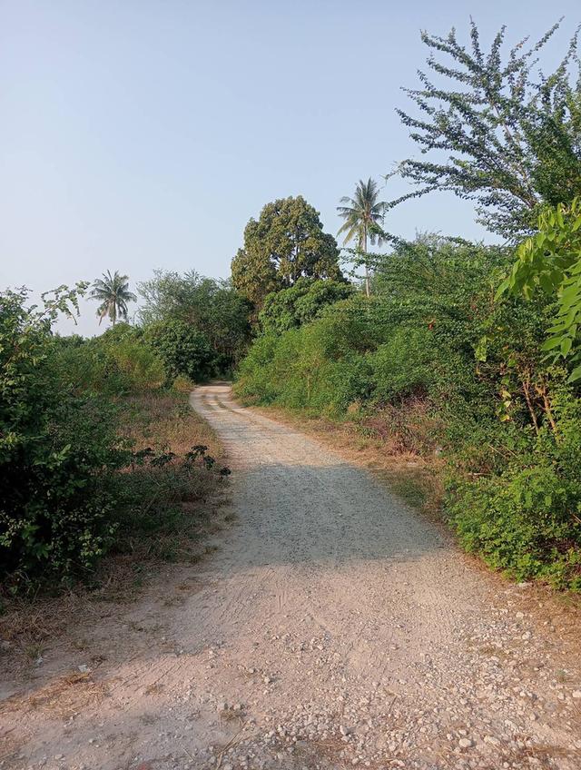 ขาย ที่ดิน จังหวัดชลบุรี 3