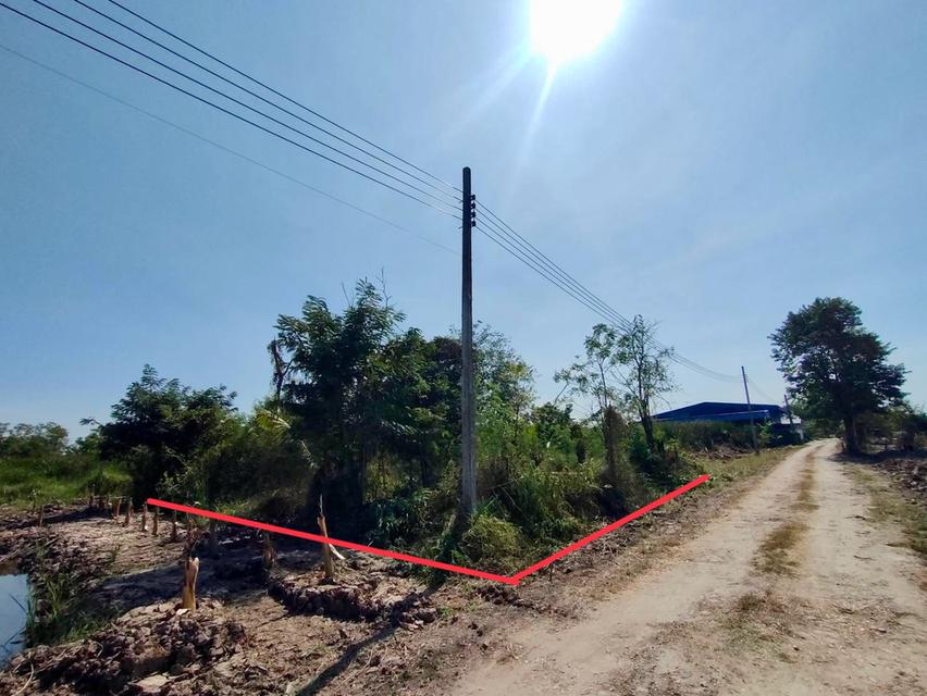 ขายที่ดินเนื้อที่ 106 ตรว. (ถมแล้ว) - ห่างจากถนน คู้-คลองสิบ ฝั่งเหนือ 50 เมตร - ห่างจากแยกลำหิน 700 เมตร - มีถนนสาธารณะกว้าง 8 เมตร มีไฟฟ้าผ่าน..... 4