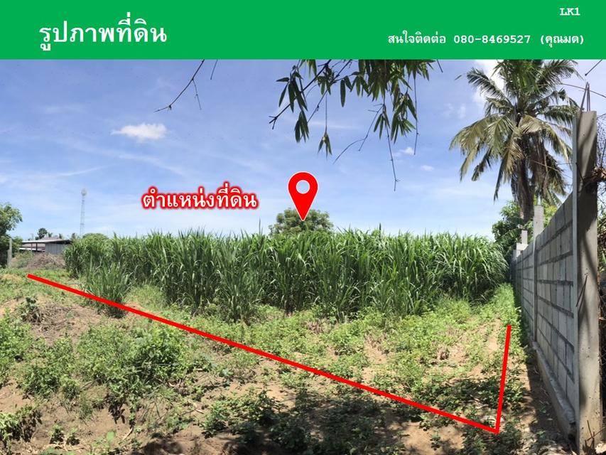 ขายที่ดินหนองลานพระแท่น(น้ำไม่ท่วม) 4