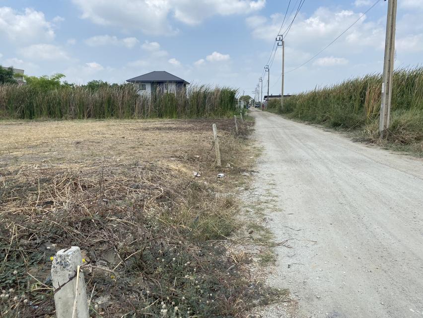 ขายที่ดินเปล่า ติดถนนใหญ่ คุ้มเกล้า ลาดกระบัง 10