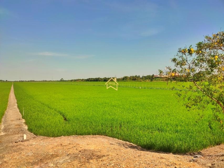 ขาย ที่ดิน 22 ไร่ 3 งาน 92.8 ตารางวา อ.ไทรน้อย จ.นนทบุรี ราคาถูกกว่าราคาตลาดมาก 6