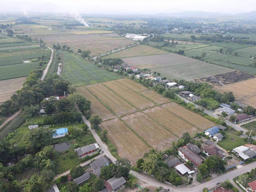 ที่ดินราคาสวย บ้านสันนาตำบลเกาะช้างอำเภอแม่สายจังหวัดเชียงราย  3