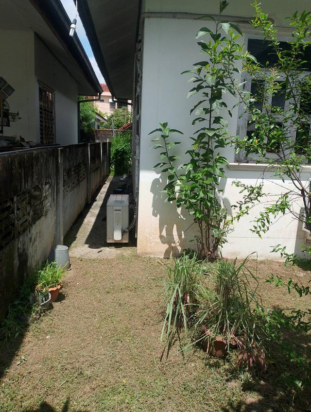 บ้านพร้อมที่ดิน 3