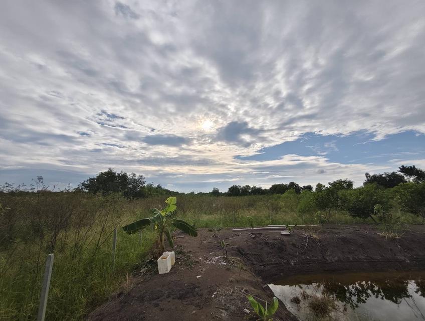 😮แม่เจ้า..เกือบไร่ครึ่งไม่ถึงล้าน ที่ดินโฉนดติดคลอง14 เจ้าของขายเอง!!! 8