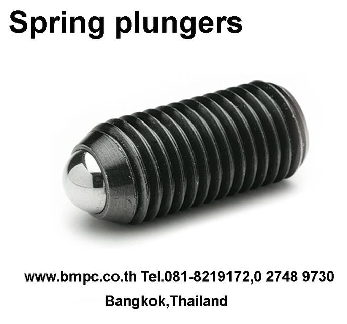 Ball plunger, Socket spring plunger, Index plunger, press fit plunger, Amecoil, thread repair tool, Schnorr, Cup spring