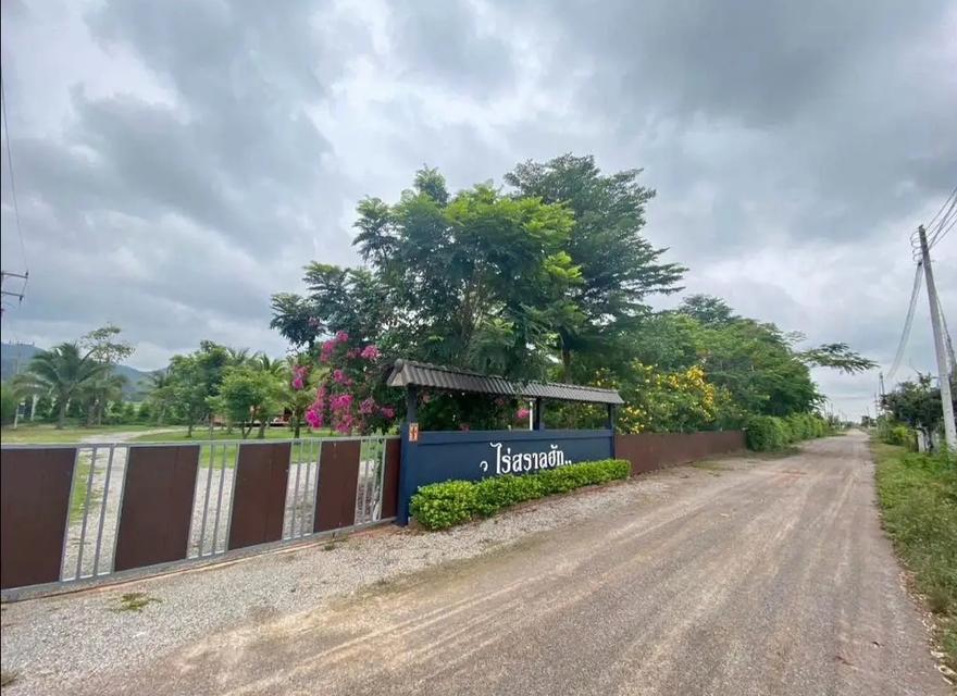 บ้านพักสไตล์รีสอร์ท 3