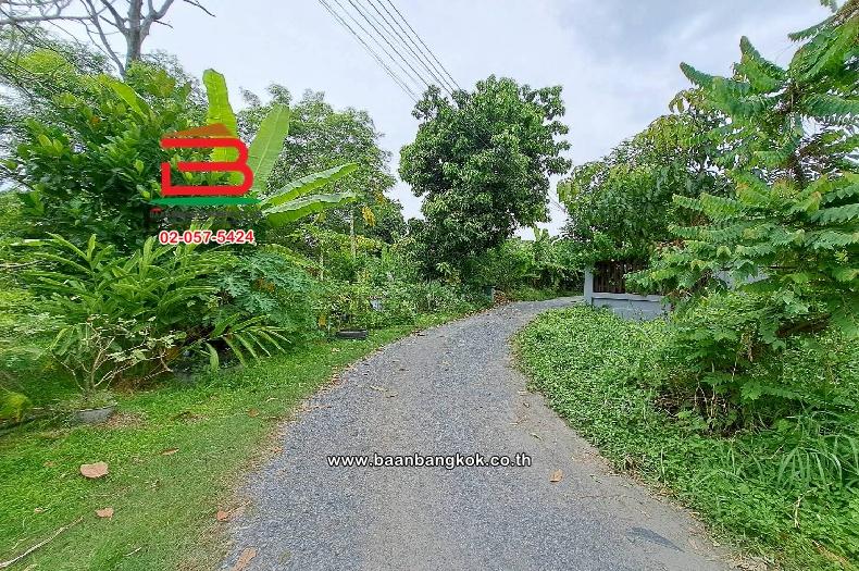 ที่ดินเปล่า ซอยพหลโยธิน 54/1 แยก 6, สะพานปั้นป๊อก เนื้อที่ 98.8 ตร.ว ใกล้โรงเรียนประชานุกูล(โรงเรียนขำสนิทอนุเคราะห์) เขตสายไหม กรุงเทพมหานคร 3