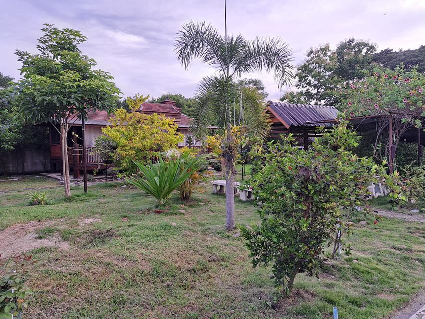 บ้านเรือนไทยสวนผลไม้รีสอร์ทส่วนตัว 8