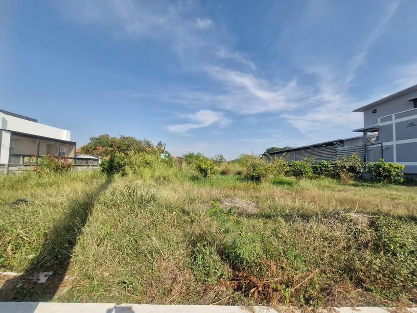 ขายที่ดินเปล่าติดถนนสุขุมวิทบางเสร่ - พัทยา 4