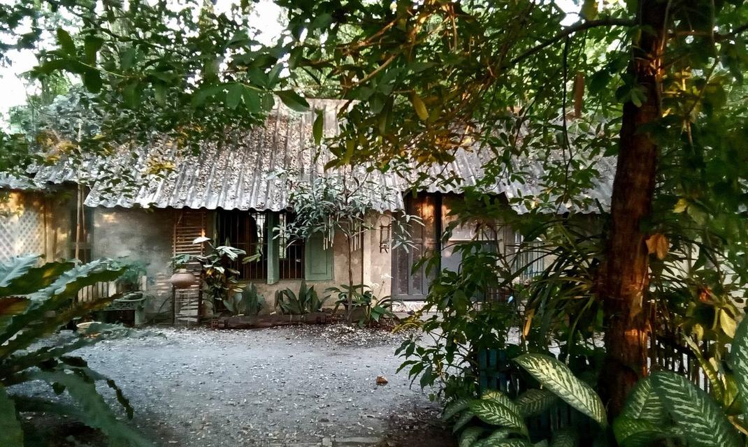 ที่ดินพร้อมบ้านเชียงใหม่ 1