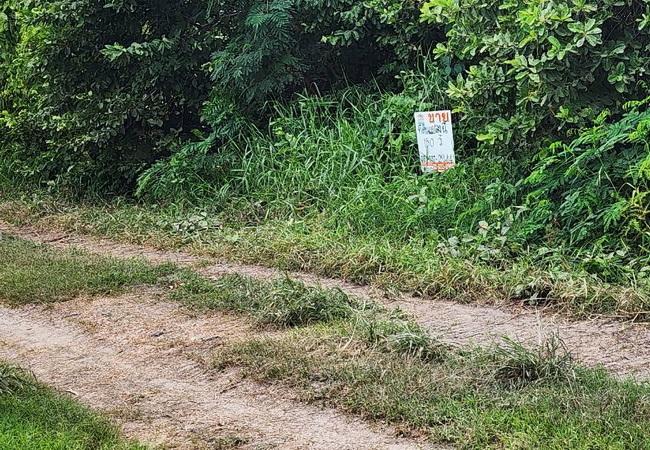 ขายที่ดิน 150 ตร.ว. บ้านระแหง ถนนปทุมธานี-ลาดหลุมแก้ว ระแหง ลาดหลุมแก้ว ปทุมธานี 3