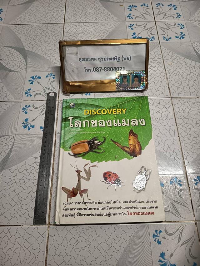 DISCOVERY โลกของแมลง เรื่องโดย PETER J.NESKY / สุรัตนา เลิศประเสริฐกุล แปลและเรียบเรียง