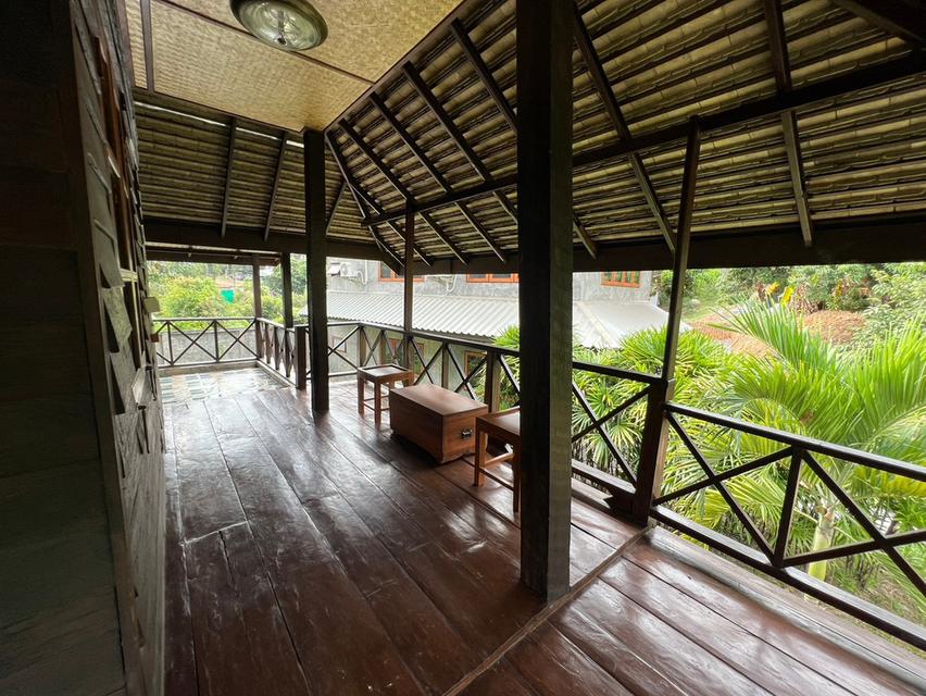 ให้เช่าบ้านเดี่ยวยกสูง ตอบโจทย์คุ้มค้า 2ห้องนอน 2ห้องน้ำ 18000/เดือน อุปกรณ์ภายในครบครัน ใกล้สิ่งอำนวยความสะดวก 7