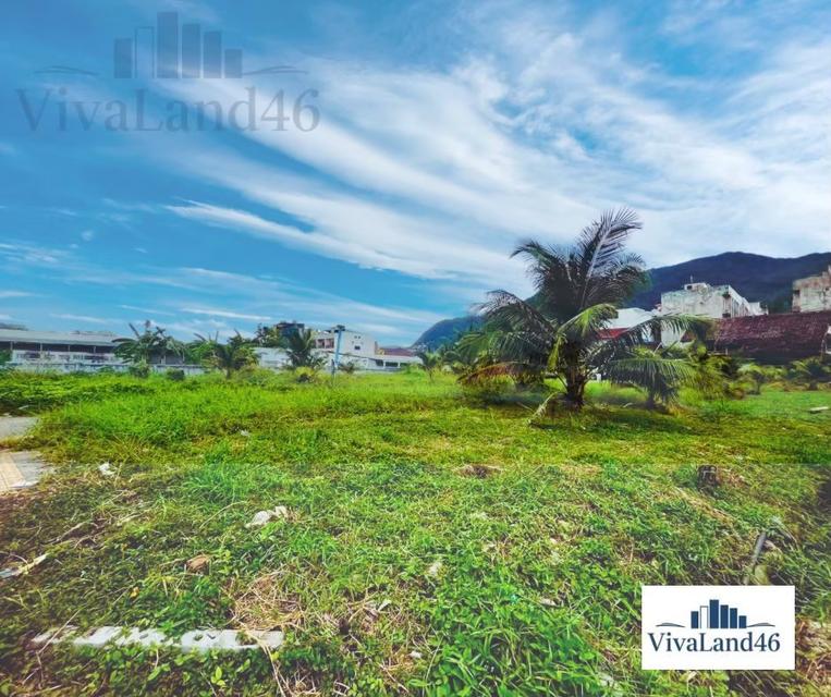 ที่ดินผืนใหญ่ ใจกลางป่าตอง 4