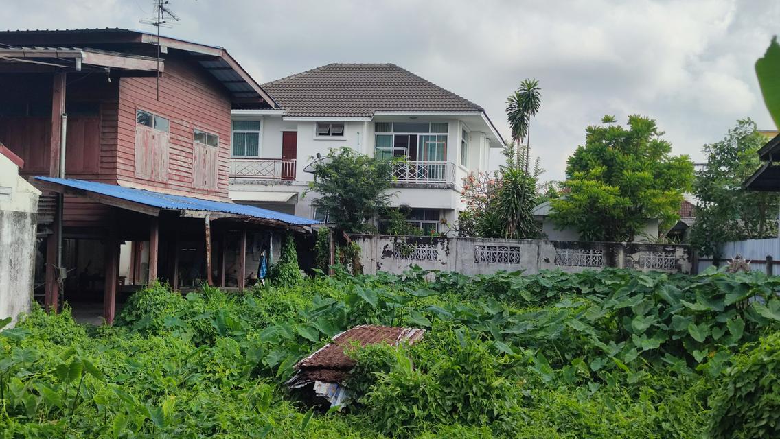 ขายที่ดิน 191 ตารางวา ซอยประชาอุทิศ 17 แยก 1 ใกล้ทางด่วน ใกล้รถไฟฟ้าสายสีม่วงใต้ 5