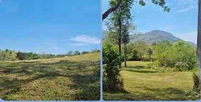 ขายที่ดินเขาใหญ่ 10 ไร่ อำเภอปากช่อง จังหวัดนครราชสีมา 5