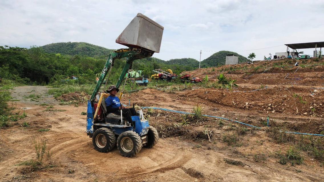 รถตัก ฺBOBCAT ยี่ห้อ TCM บุ้งกี๋สแตนเลส ยกสูง 2.5 เมตร 4WD เก่าญี่ปุ่นแท้ ไม่เคยใช้งานในไทย สภาพเดิมๆจากญี่ปุ่น  7