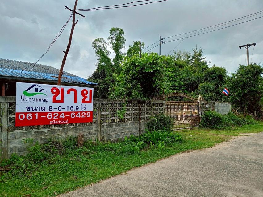 ขายที่ดินสวยๆ ติดถนน แปลงใหญ่ 8 ไร่กว่า ใน จ.อุบลราชธานี (N.1844) 8
