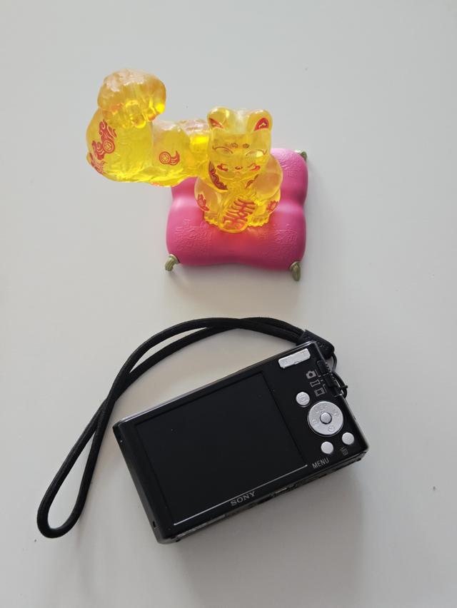 Sony CybershotW830