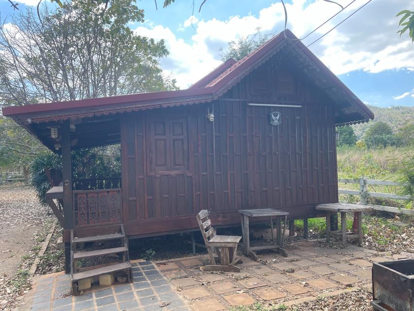 ขายที่ดินพร้อมบ้านพักตากอากาศ ทำเลทอง หนองน้ำแดง เขาใหญ่ นครราชสีมา 16