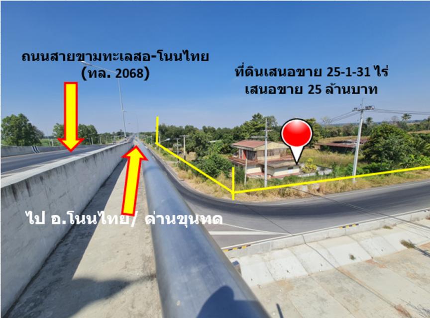 ขาย ที่ดิน ติดถนนสายขามทะเลสอ-โนนไทย  ทล.2068  เชื่อมออกทางหลวงพิเศษ M6 ได้ เนื้อที่ 25 ไร่ 1 งาน 31 ตรว ราคายุติธรรม 3