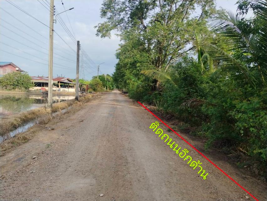 ขายถูกมาก ที่ดินเปล่า 1 ไร่ ขายวาละ 3,500 บาท 5