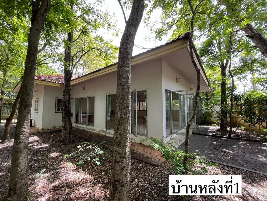 ขายบ้านสวน ซ.ท่ายายโหมด ถ.พุธมณฑล สาย 8 อ. สามพราน จ. นครปฐม 3