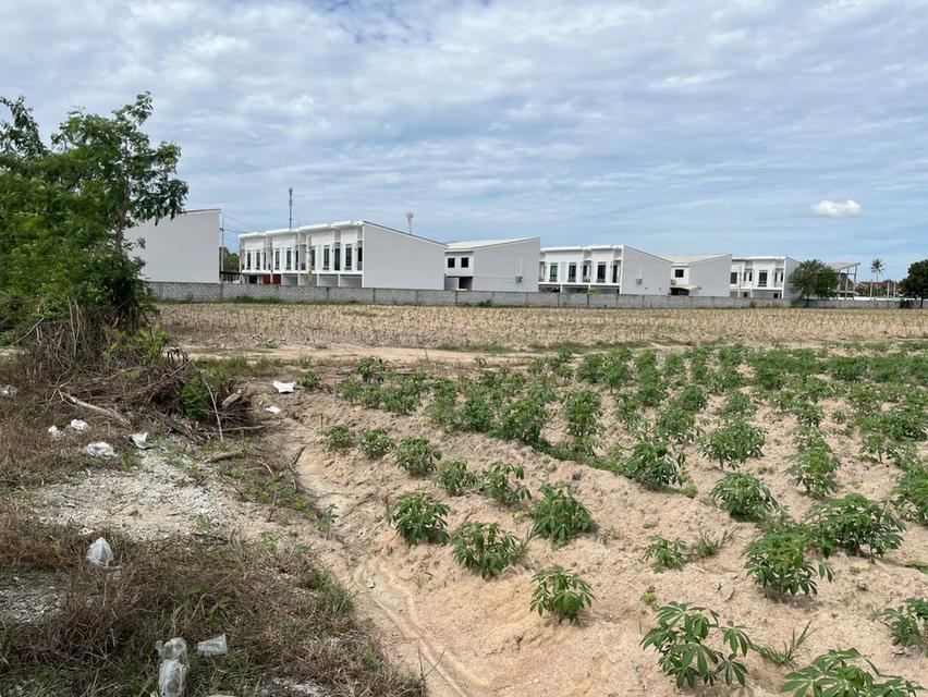 ที่ดิน สวยๆเขตบ้านฉาง อู่ตะเภา 4