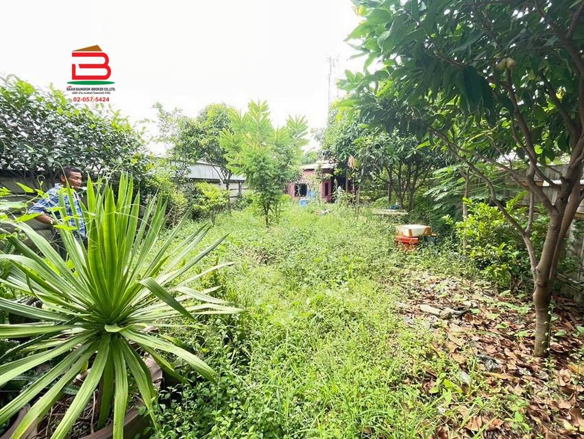 ที่ดินพร้อมบ้าน หทัยราษฎร์ ซ.5 เนื้อที่ 100 ตร.ว ใกล้ทีซีเอสทรานสปอร์ต ต.ลาดสวาย อ.ลำลูกกา ปทุมธานี   4