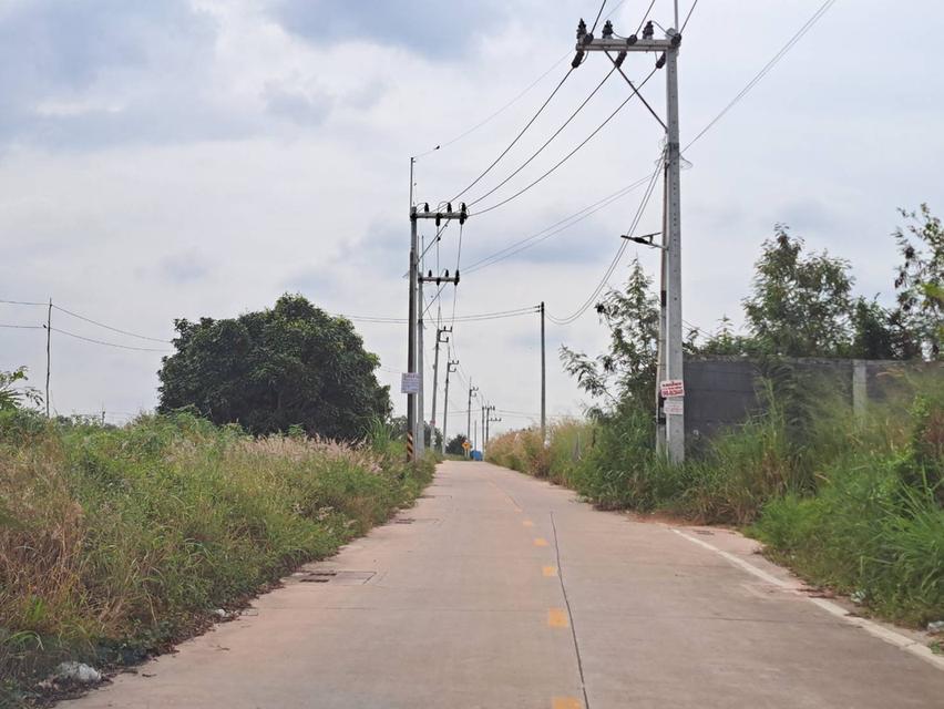 ขายที่ดินบ่อวิน 2 ไร่ ใกล้โรงพยาบาลปิยะเวชช์บ่อวิน ศรีราชา ชลบุรี 3