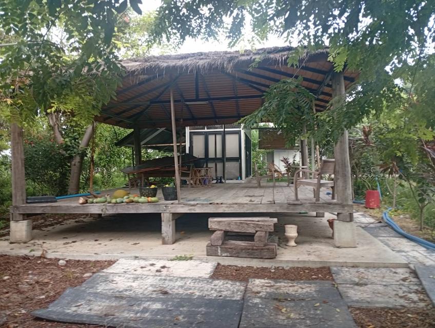 ขายที่ดินพร้อมสิ่งปลูกสร้างทำเลดีที่ดินอยู่ จ.ลพบุรี 3