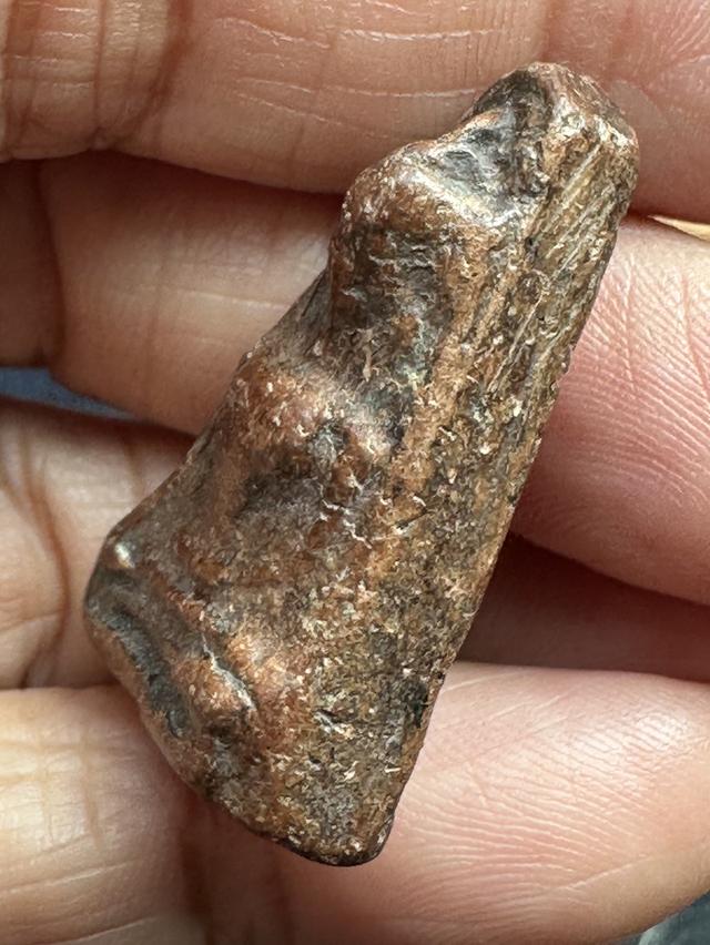 พระผงสุพรรณ พิมพ์หน้าแก่ องค์ละ1550